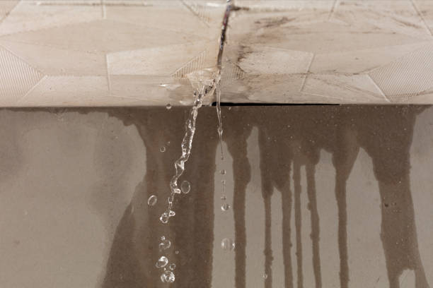 Professional Structural Drying technician working in Starbuck, WA